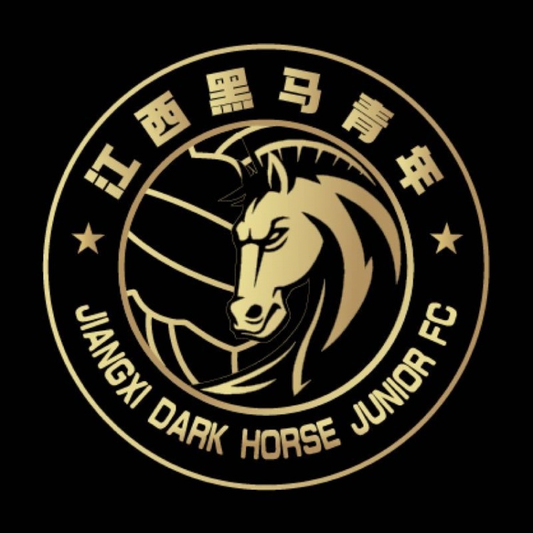  官方：江西黑馬青年完成異地遷移程序，更名為溫州職業(yè)足球俱樂(lè)部